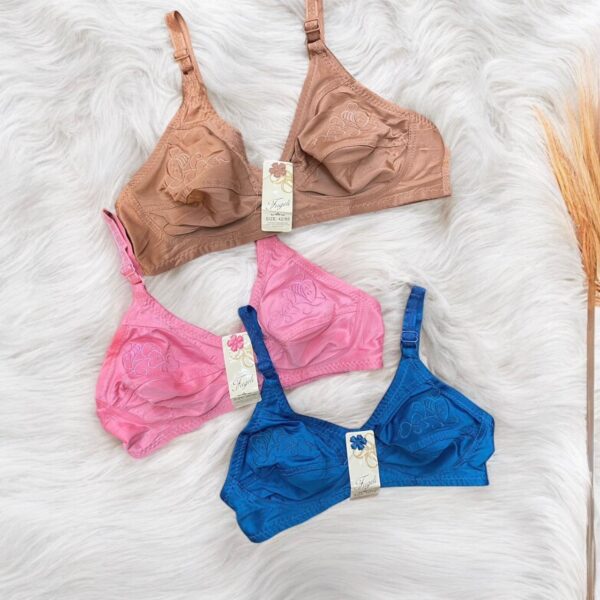 Multiple Colors Embroidered Bra for Women – Elegance & Comfort | Pack of 2