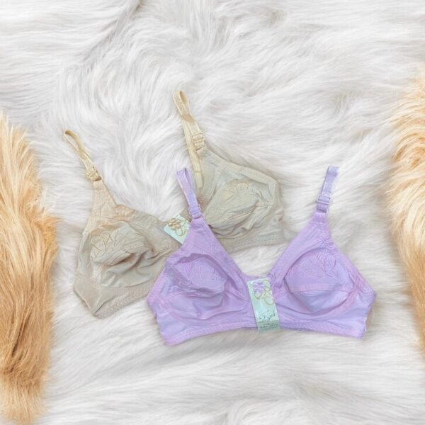 Multiple Colors Embroidered Bra for Women – Elegance & Comfort | Pack of 2 - Image 2