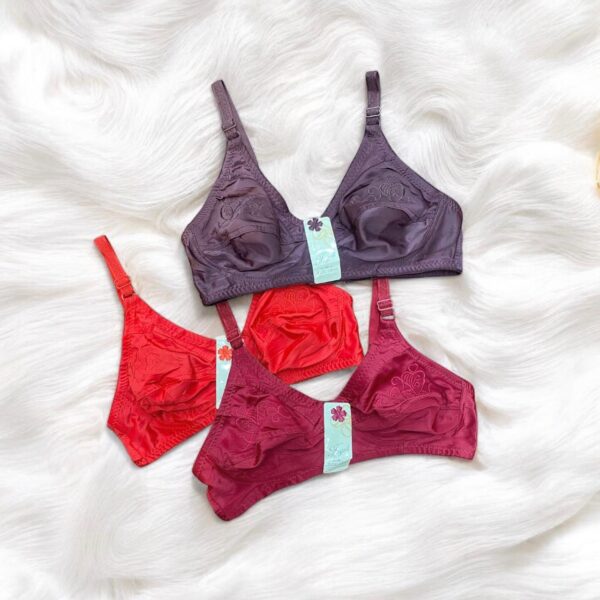 Multiple Colors Embroidered Bra for Women – Elegance & Comfort | Pack of 2 - Image 3