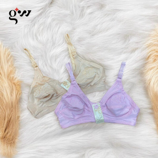 Multiple Colors Embroidered Bra for Women – Elegance & Comfort | Pack of 2 - Image 2