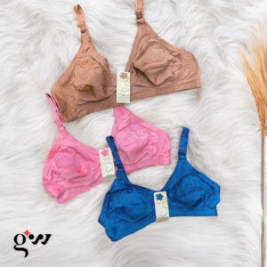 Multiple Colors Embroidered Bra for Women – Elegance & Comfort | Pack of 2