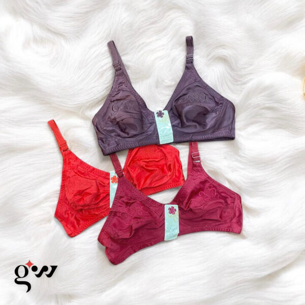 Multiple Colors Embroidered Bra for Women – Elegance & Comfort | Pack of 2 - Image 3