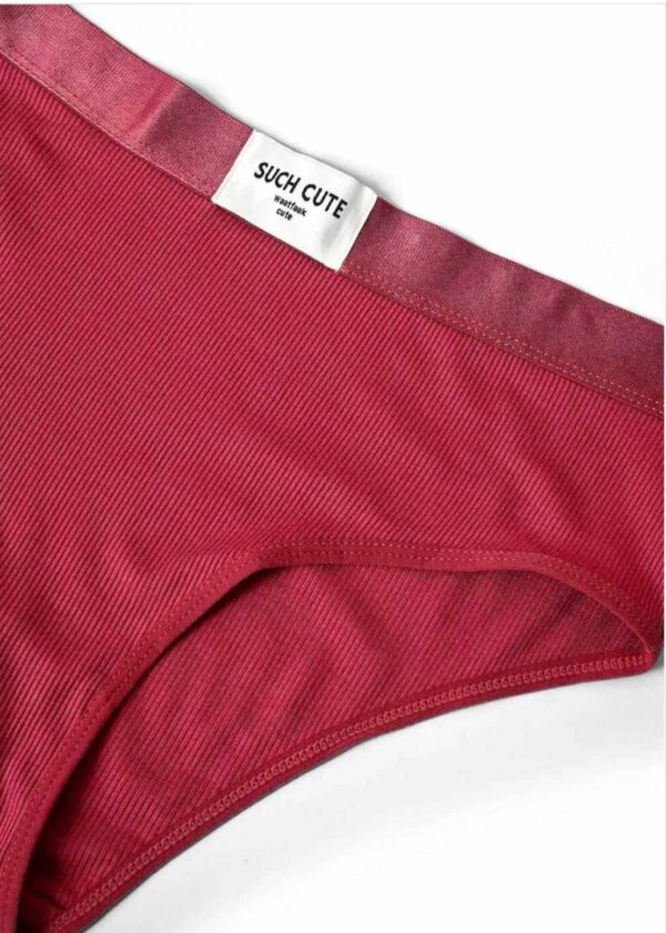 Pink Padded Bra and Pantie Set For Women - Image 3