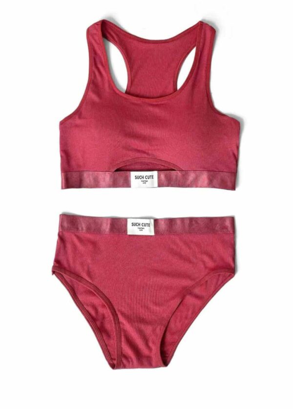 Pink Padded Bra and Pantie Set For Women