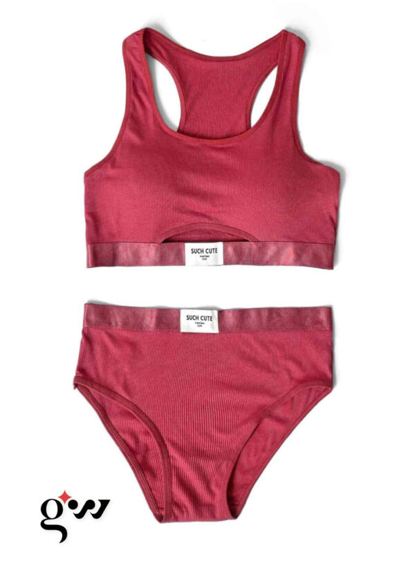 Pink Padded Bra and Pantie Set For Women