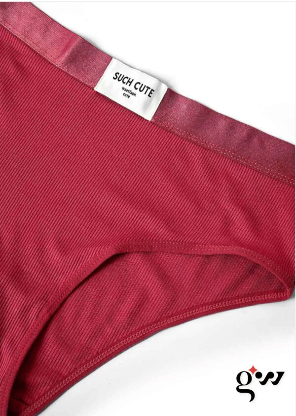 Pink Padded Bra and Pantie Set For Women - Image 3