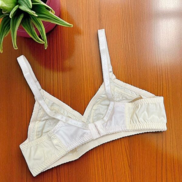 Cotton Bra with Elegant Embroidery and Net Back Touch - Image 3