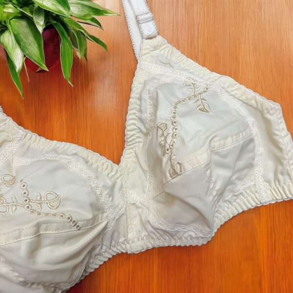 Cotton Bra with Elegant Embroidery and Net Back Touch - Image 4