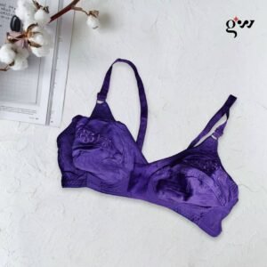 Multiple Colors Embroidered Bra for Women – Elegance & Comfort | Pack of 2 – Bra Online in Pakistan | Glow & Wear