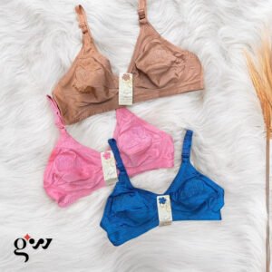 Multiple Colors Embroidered Bra for Women – Elegance & Comfort | Pack of 2 – Bra Online in Pakistan | Glow & Wear